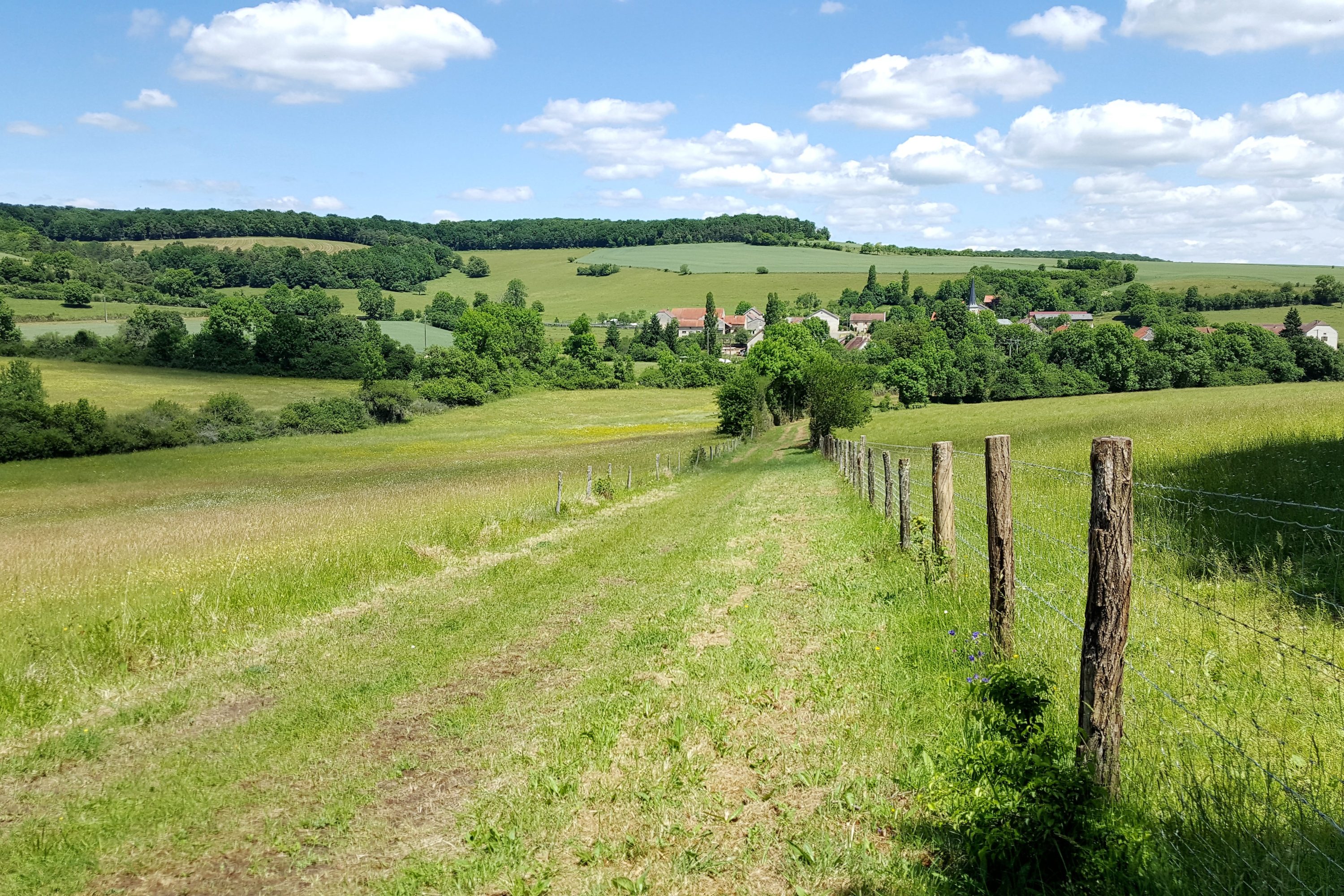 Bourgogne-paysagesreconquis Bourgogne-paysagesreconquis