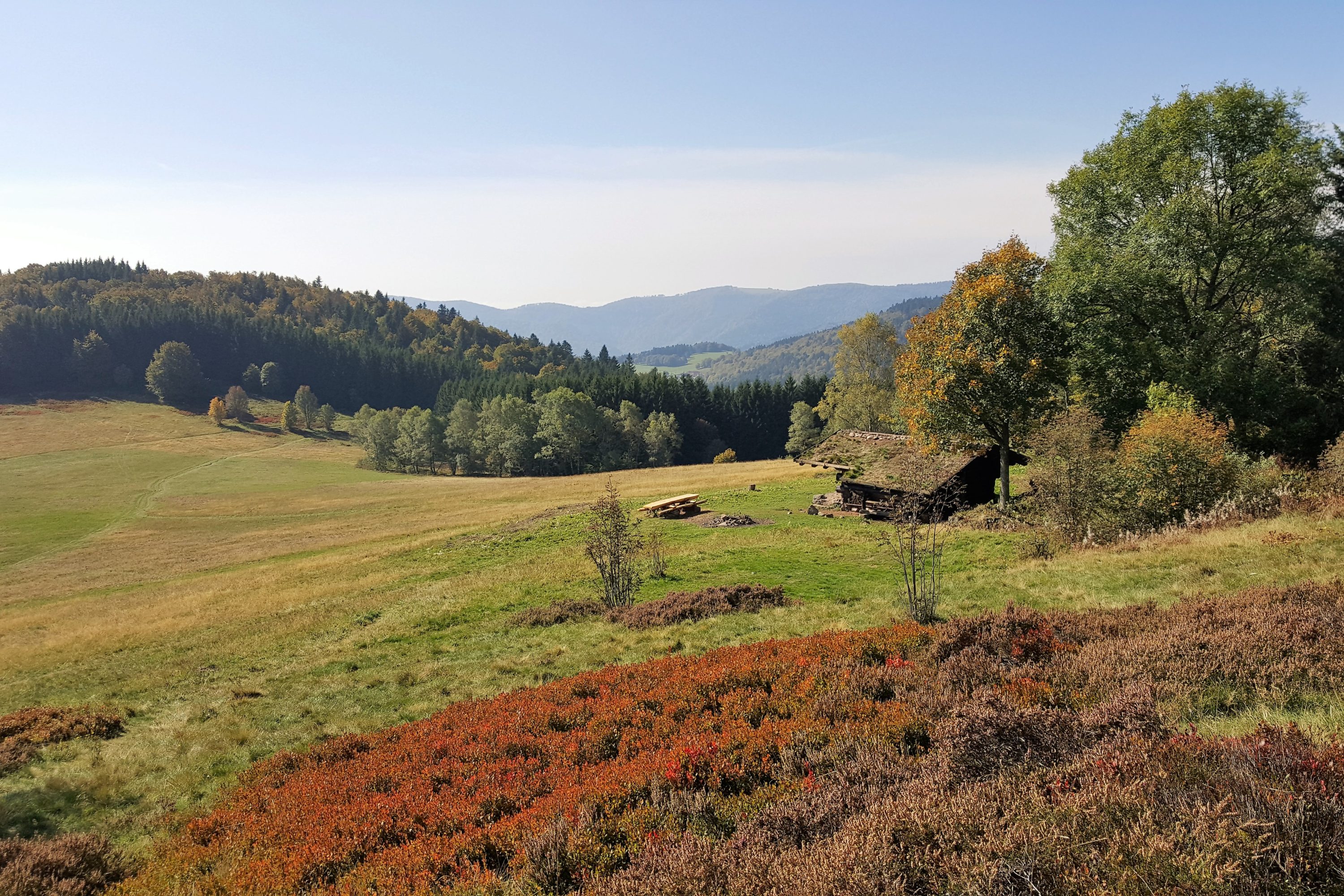 vosges-du-sud-paysagesreconquis vosges-du-sud-paysagesreconquis