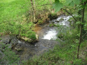 IMG_7372