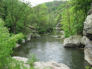 IMG_7408