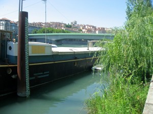 Réaménagement de berges du Rhône