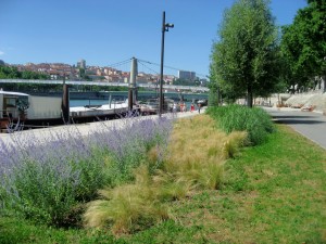 Réaménagement de berges du Rhône