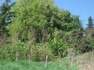 Paysages des communes de Chaussan et de Saint-Sorlin
