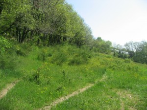 Paysages des communes de Chaussan et de Saint-Sorlin