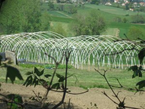 Paysages des communes de Chaussan et de Saint-Sorlin
