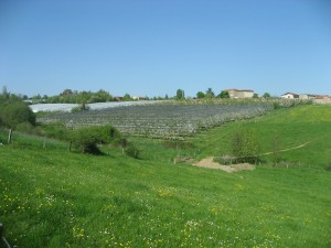 Paysages des communes de Chaussan et de Saint-Sorlin