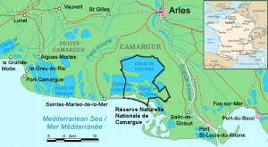 carte-2